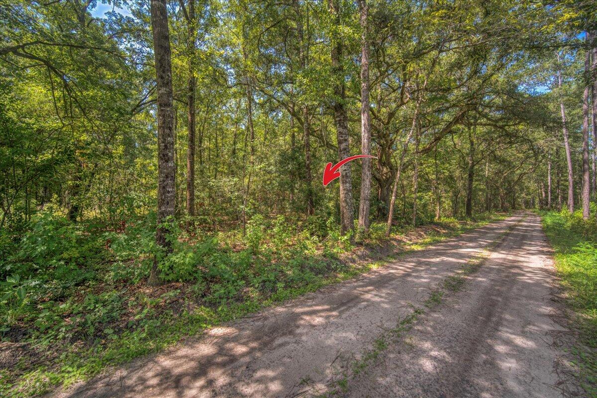 7799 Morris Bing Road
