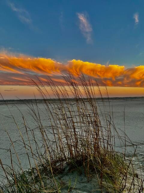 A home in Isle of Palms