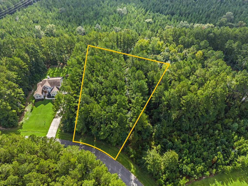 Photo of 1109 Plantation Overlook Drive, Moncks Corner, SC 29461 (MLS # 26026841)