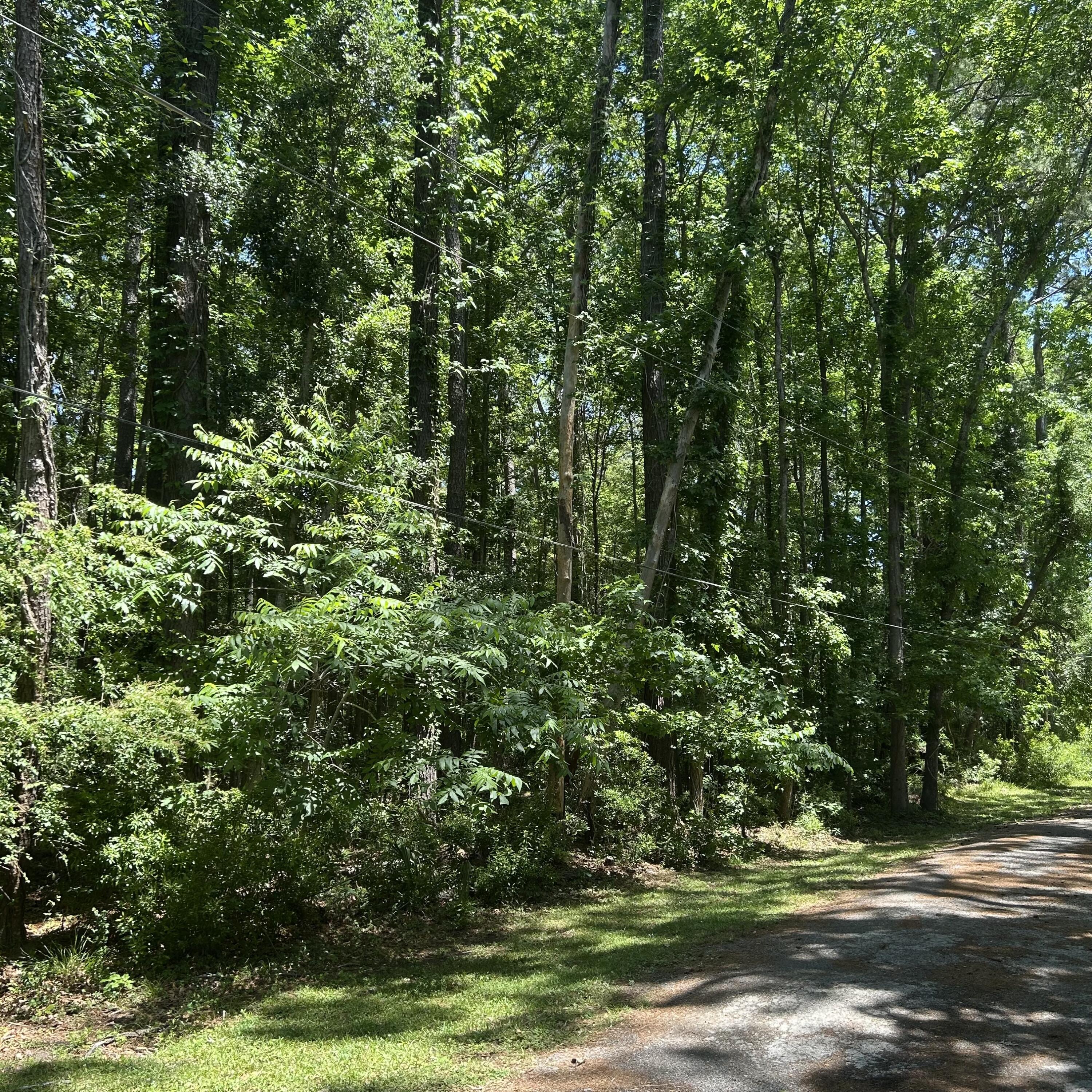 0 Pritchard Green Road