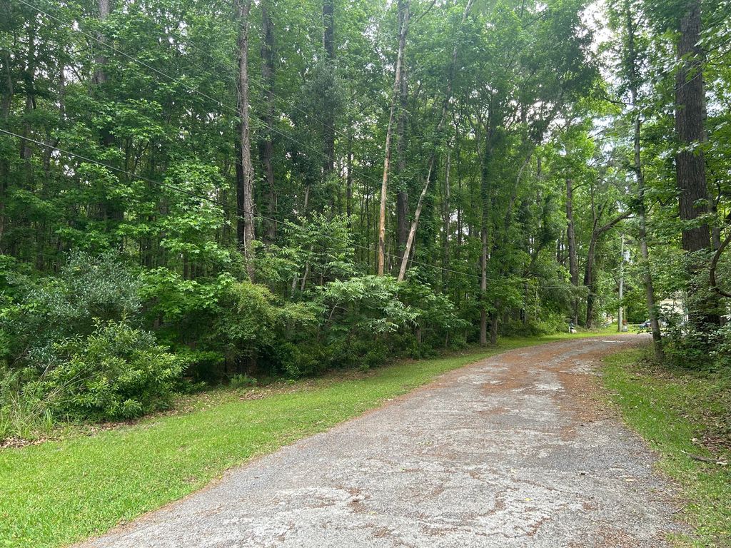 Photo of 0 Pritchard Green Road, Mount Pleasant, SC 29429 (MLS # 26013614)