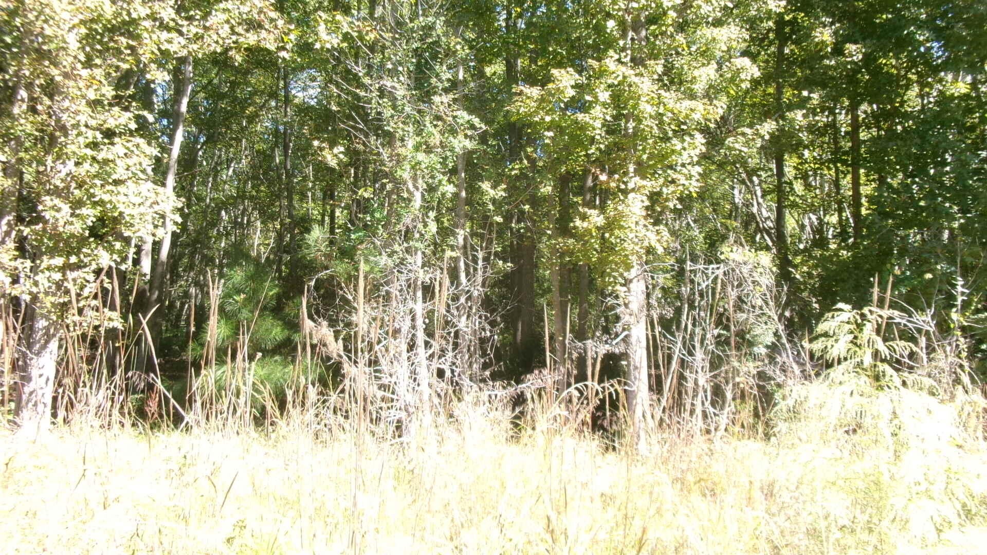 Lot 5 Manor Road