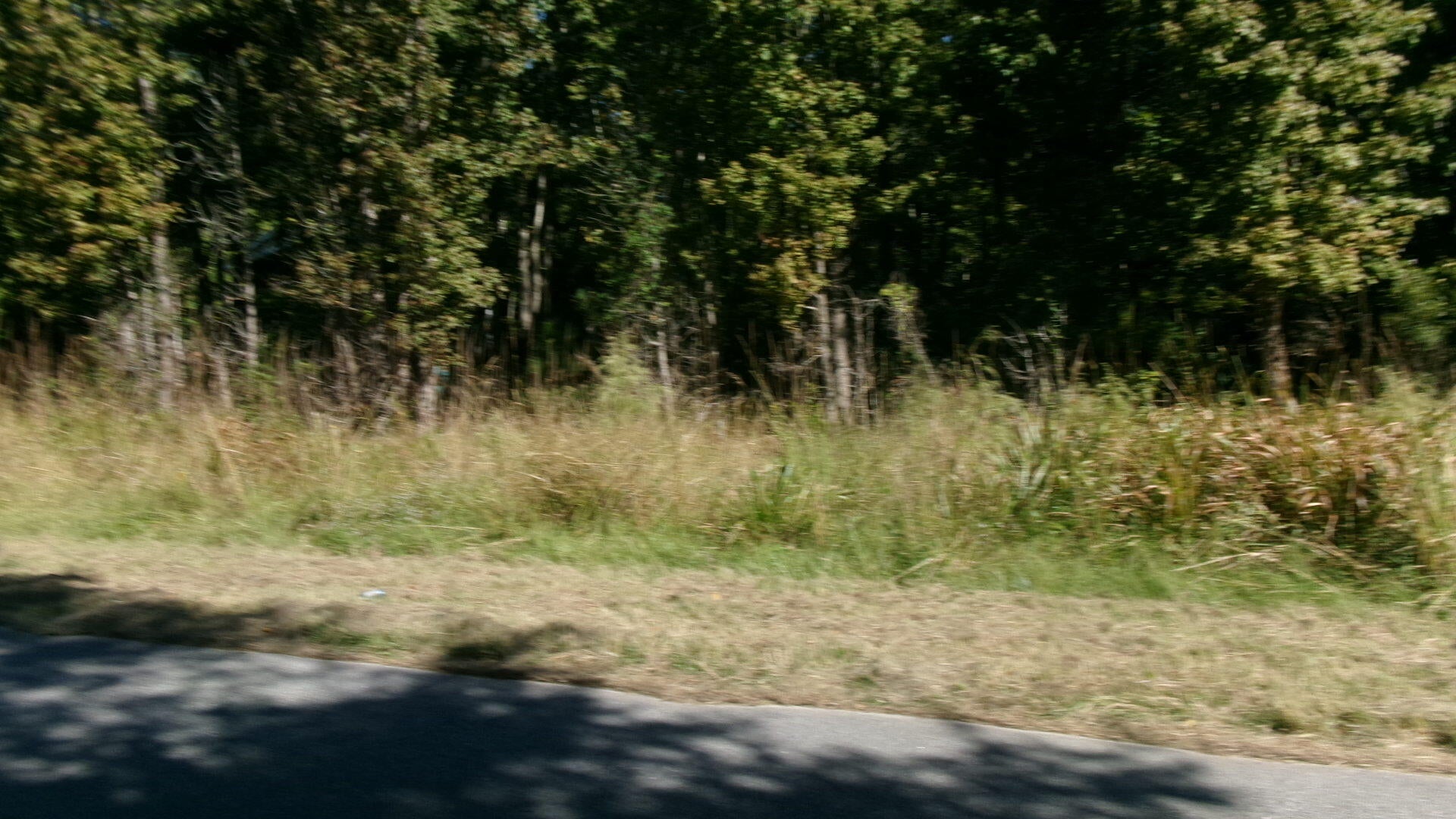 Lot 5 Manor Road