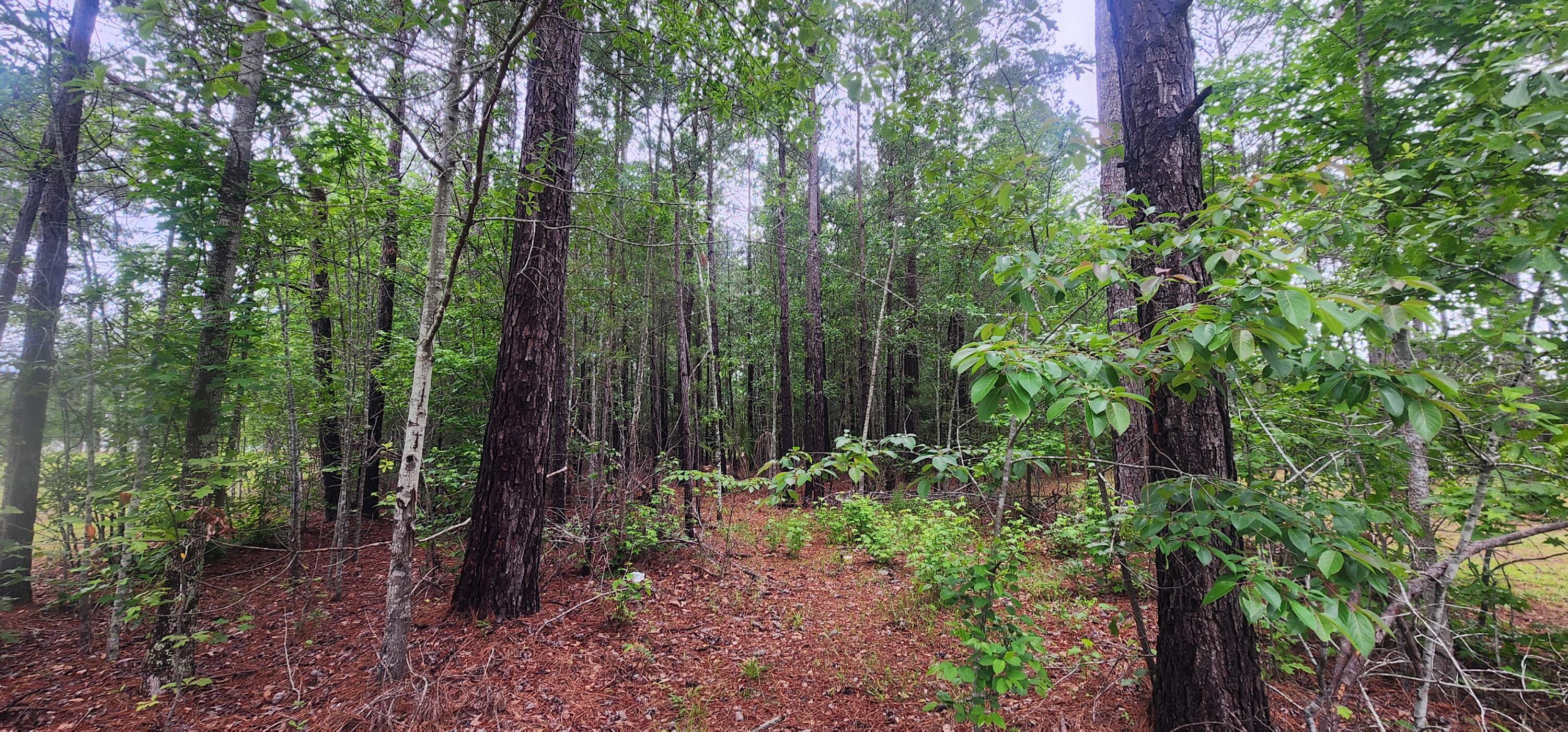 0 Loblolly Court