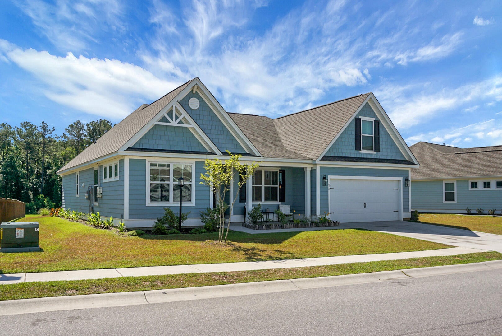 658 Black Pine