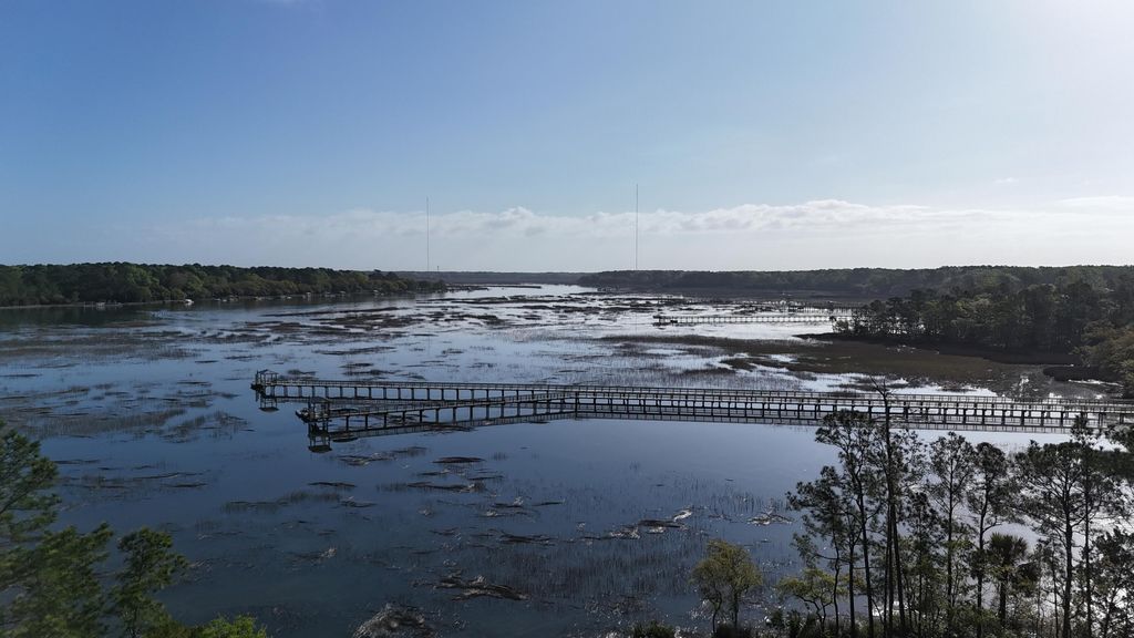 Photo of 3582 Clambank Drive, Mount Pleasant, SC 29466 (MLS # 26009412)