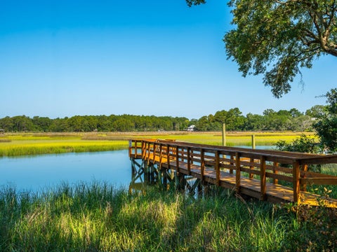 Photo of 194 Beresford Creek Street, Charleston, SC 29492 (MLS # 26020790)