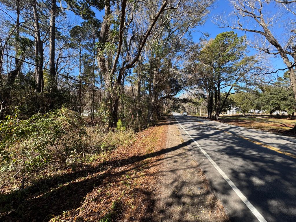 Photo of 2040 River Road, Johns Island, SC 29455 (MLS # 25006246)