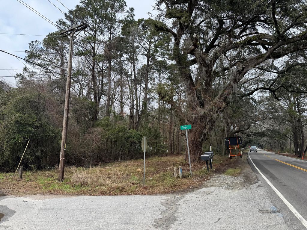 Photo of 2040 River Road, Johns Island, SC 29455 (MLS # 25006246)