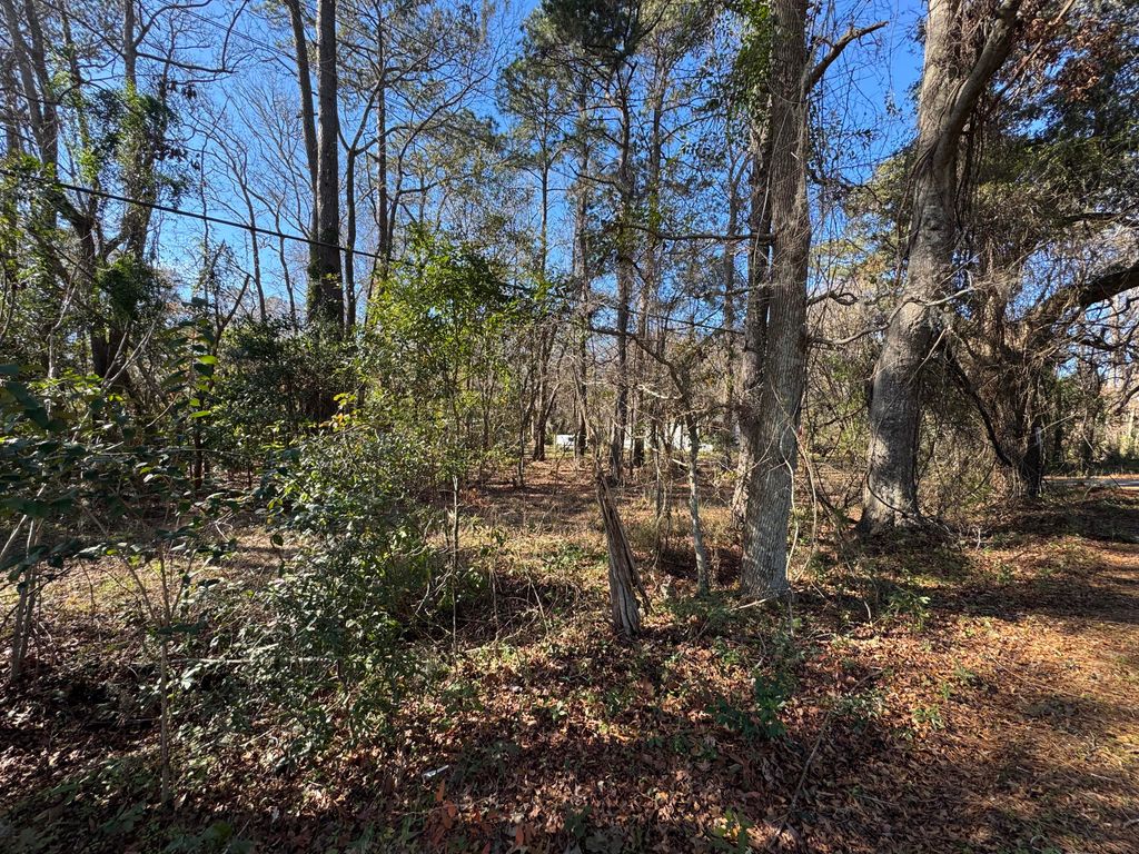 Photo of 2040 River Road, Johns Island, SC 29455 (MLS # 25006246)