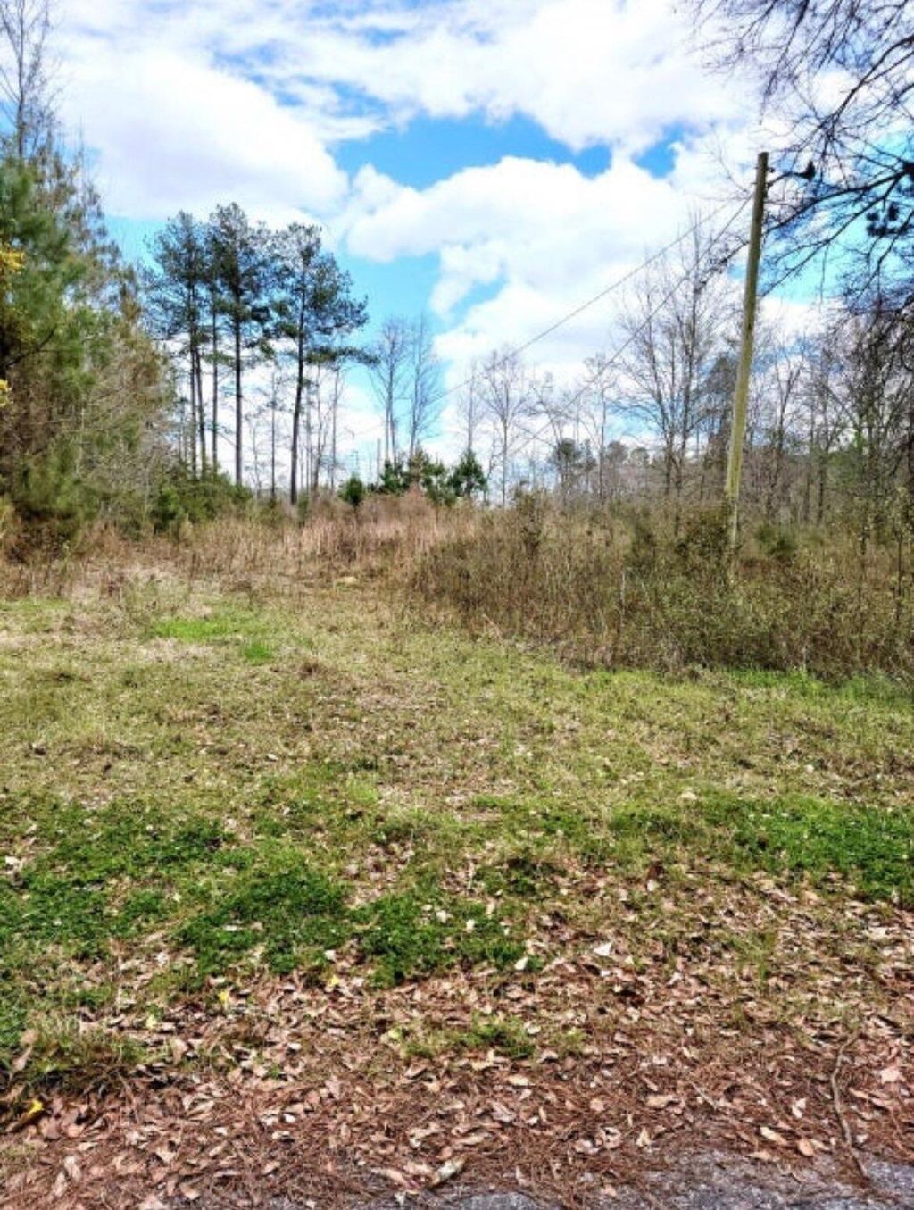 258 Smith Lane, Bowman, SC Lots and Land Property Listing