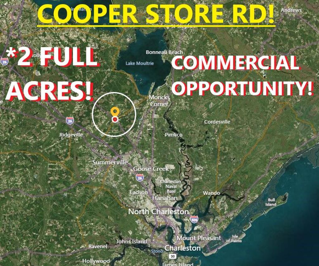 Photo of 2654 Cooper Store Road, Moncks Corner, SC 29461 (MLS # 25001300)