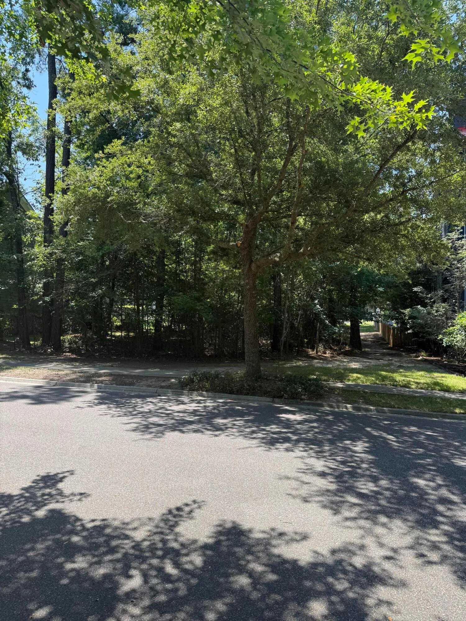 235 Lotz Drive