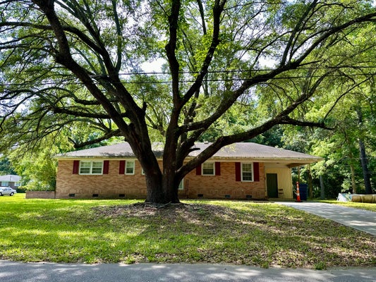 2223 PLAINVIEW RD, CHARLESTON, SC 29414 - Image 9c02e57e23e70ca1aceda0af21f8e24a/2925790148