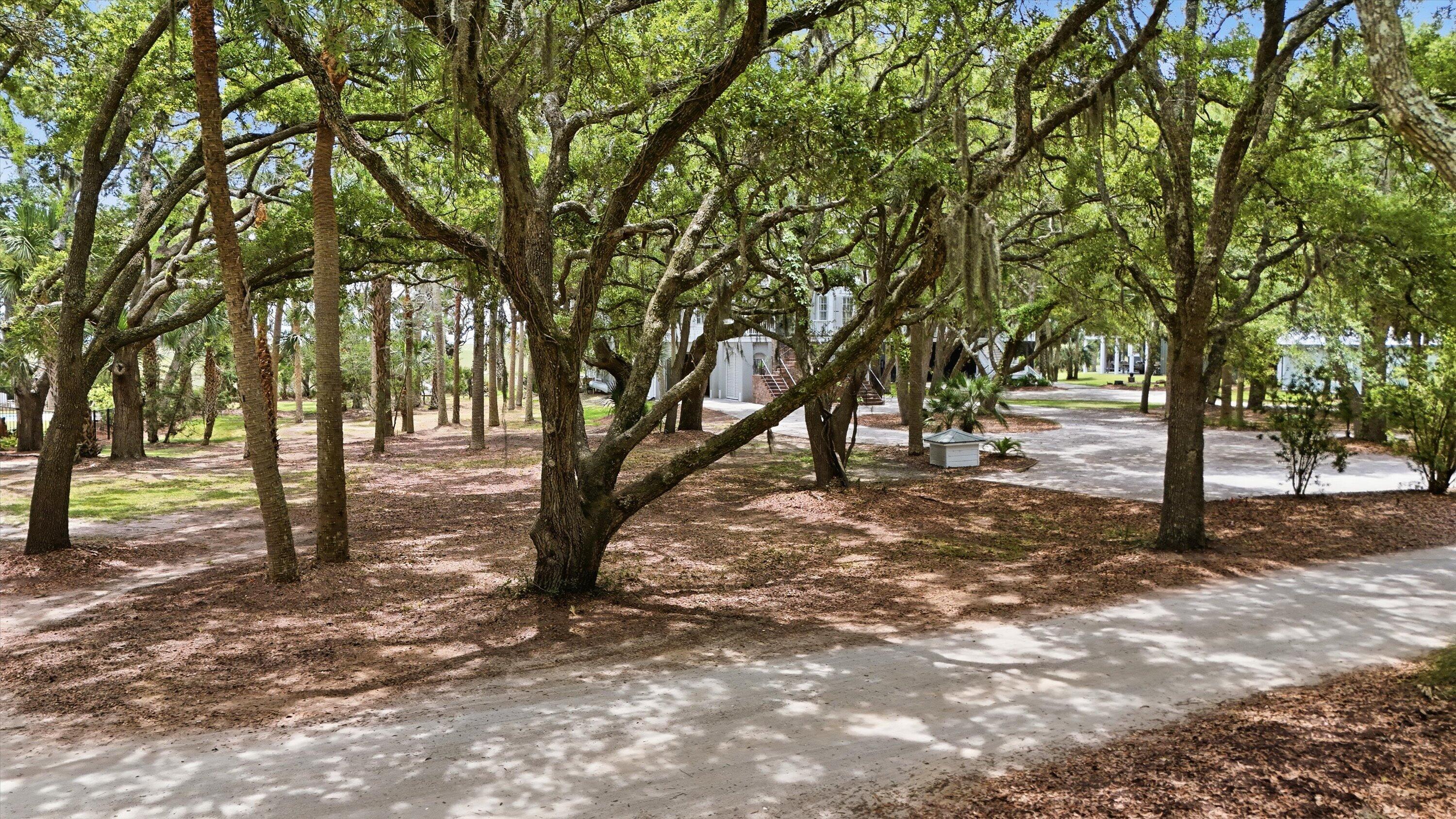 14 Hammocks Way, Edisto Island, SC, 29438