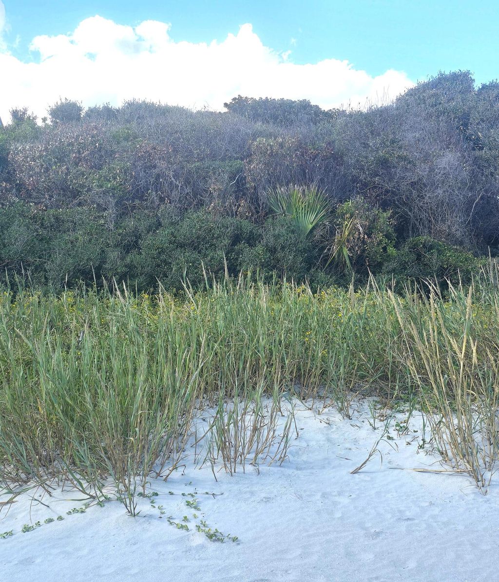 Photo of 1217 E Ashley Avenue, Folly Beach, SC 29439 (MLS # 24017008)