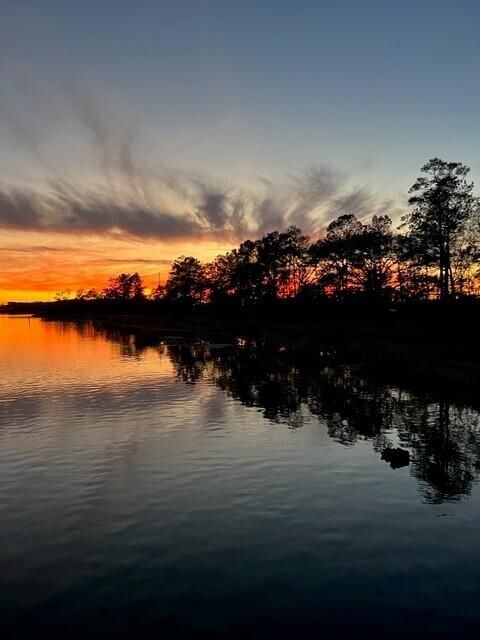 368 Blowing Fresh Drive Charleston SC 29492