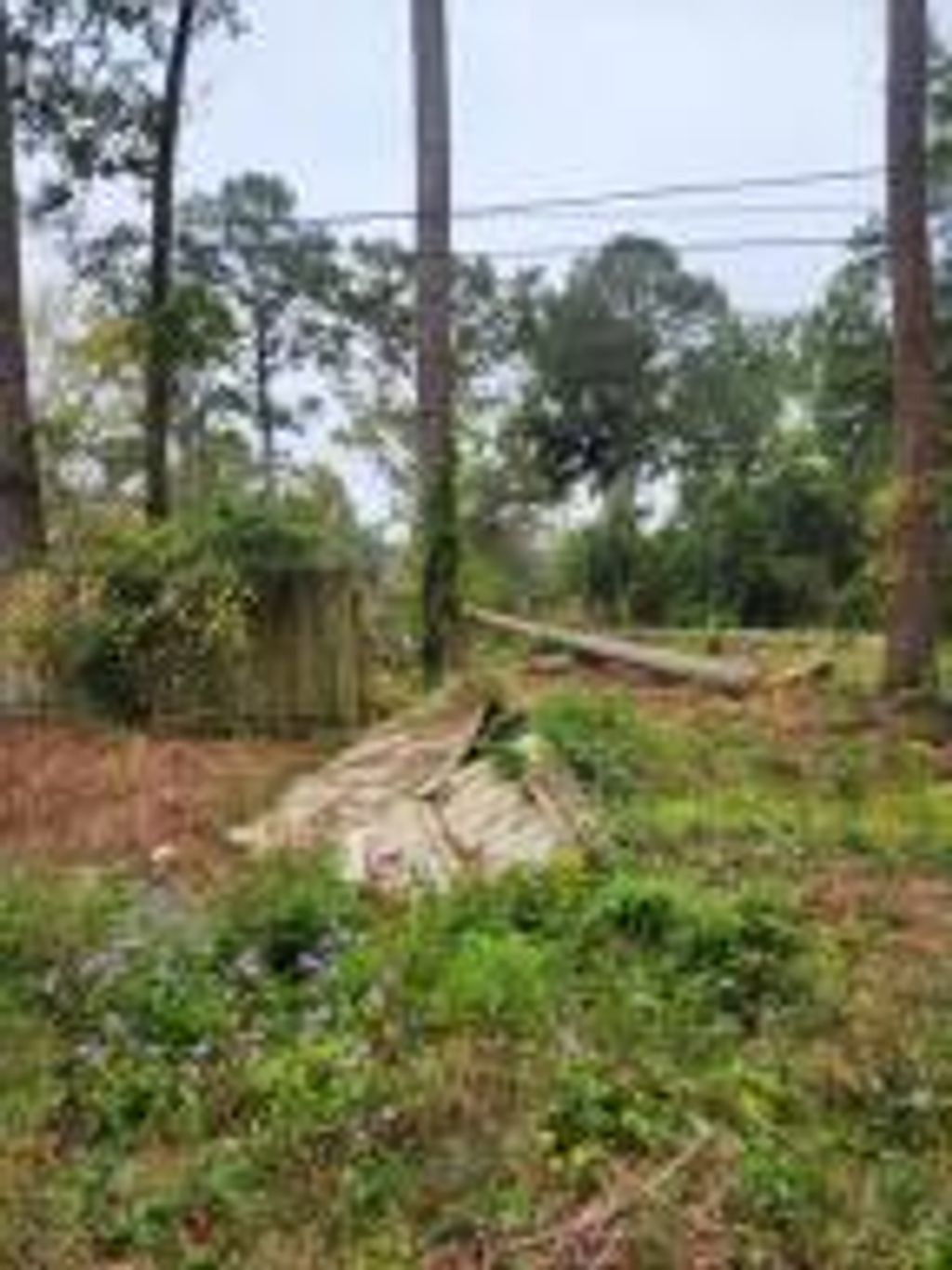 Photo of 105 Wanda Avenue, Summerville, SC 29485 (MLS # 25007230)