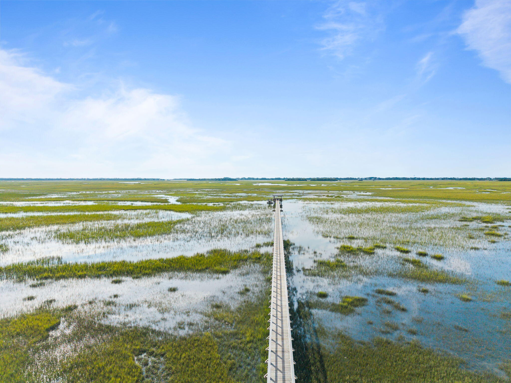 1517 Mossy Branch Way