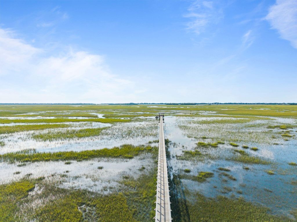 Photo of 1517 Mossy Branch Way, Mount Pleasant, SC 29464 (MLS # 25031473)