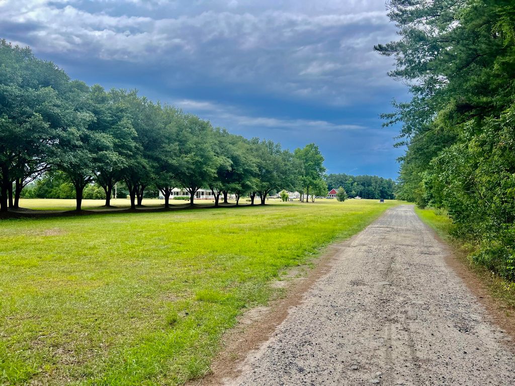 Photo of 1056 Witherbee Road, Moncks Corner, SC 29461 (MLS # 24015224)