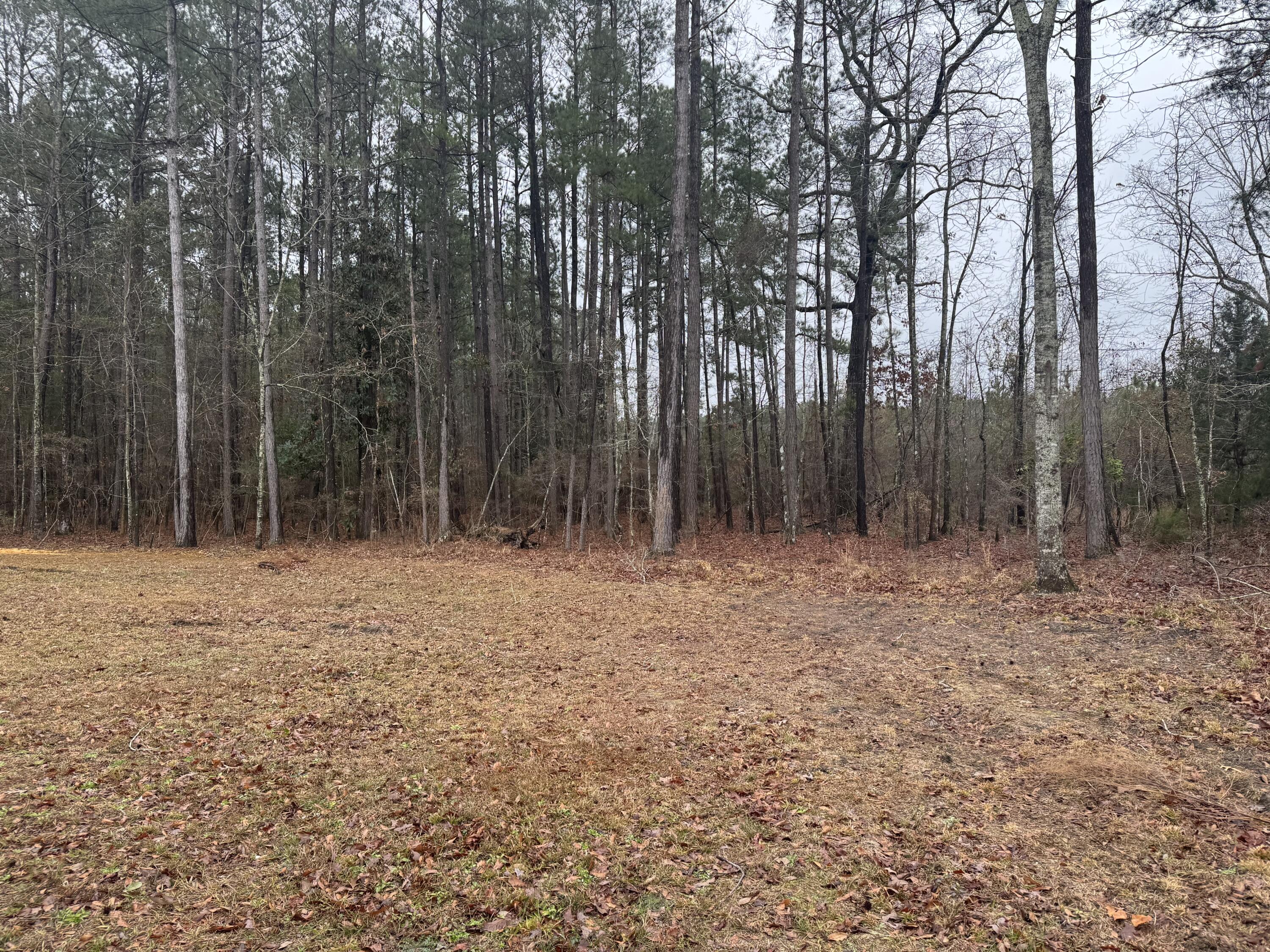 165 Ash Hill Drive