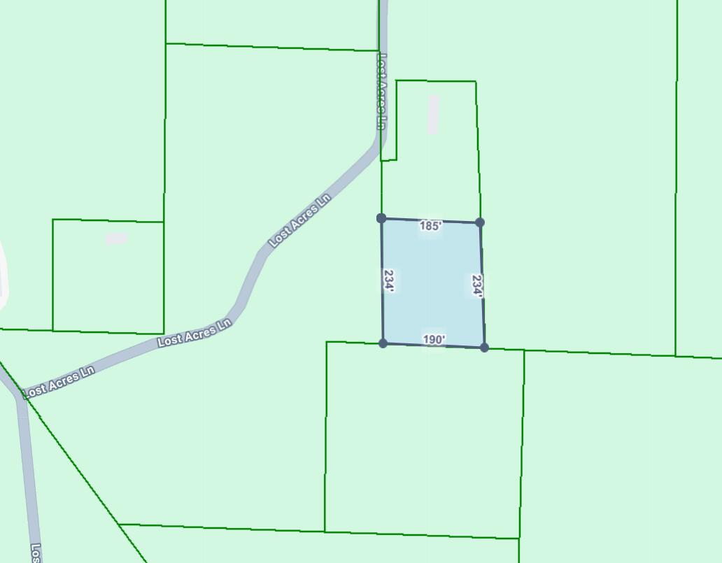 306 Lost Acres Lane