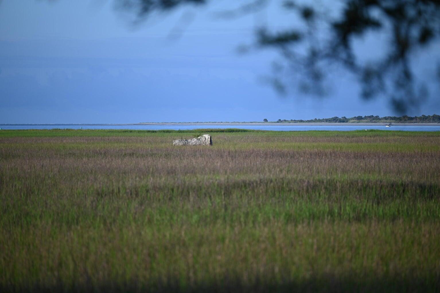 0 Cole Island