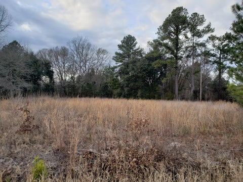 Featured picture for the property 23000879