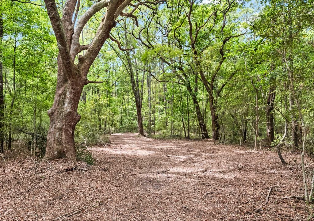 Photo of 1 Frisco Lane, Johns Island, SC 29455 (MLS # 26011449)