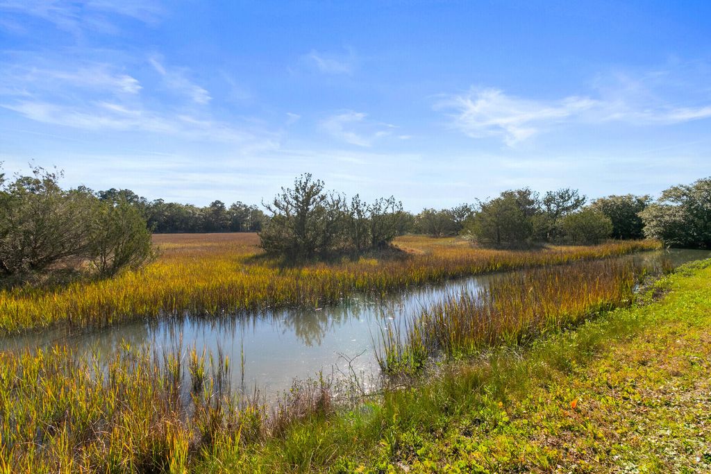 Photo of 1816 Battery Island Drive, Charleston, SC 29412 (MLS # 25032383)