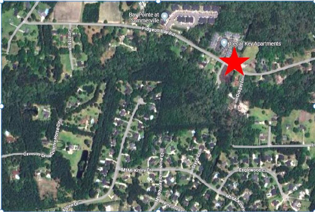 Photo of 210-216 Pidgeon Bay Road, Summerville, SC 29483 (MLS # 24012867)