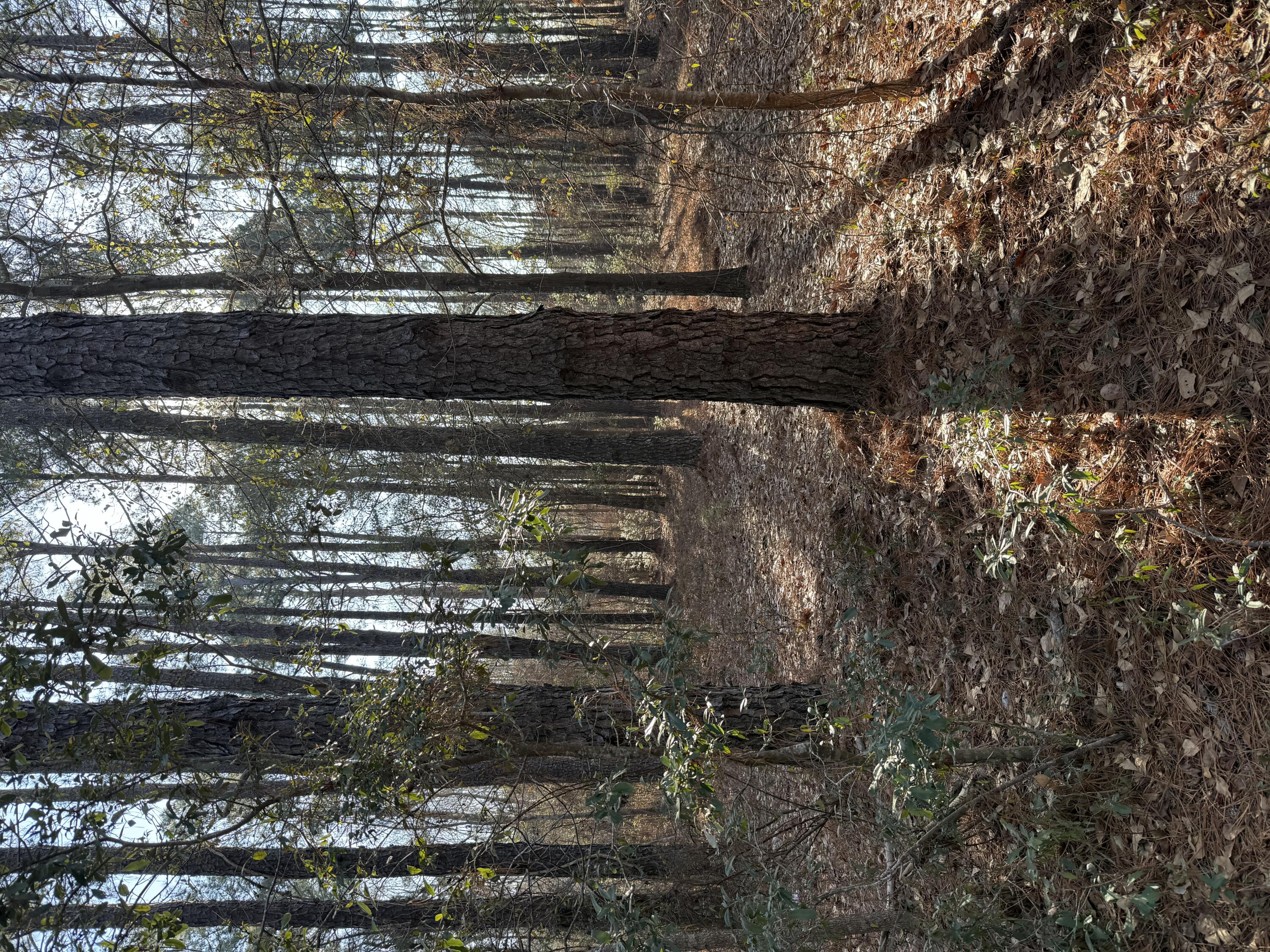 0 Warrior Drive Lot B