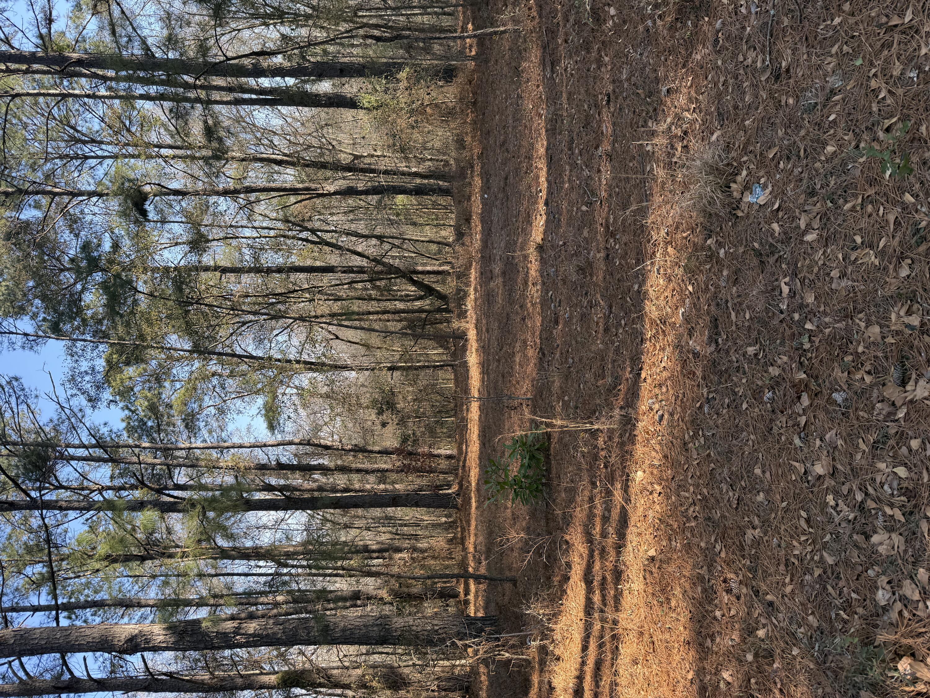 0 Warrior Drive Lot B