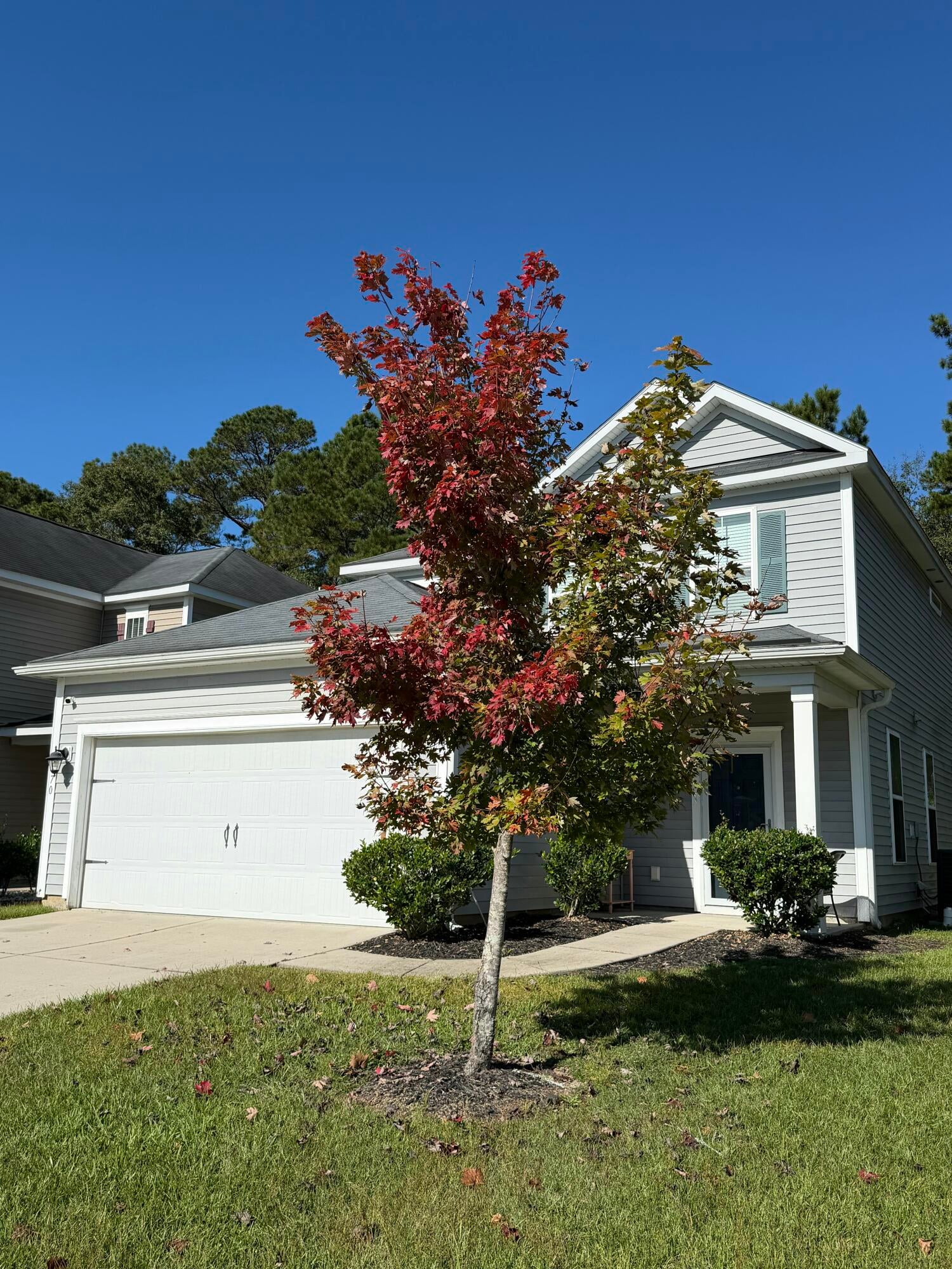 1670 Eider Down Drive