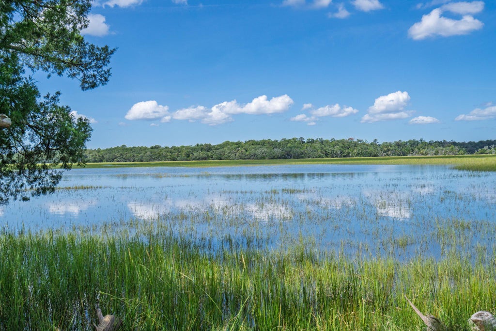 Photo of 125 Jungle Road, Edisto Island, SC 29438 (MLS # 26026281)