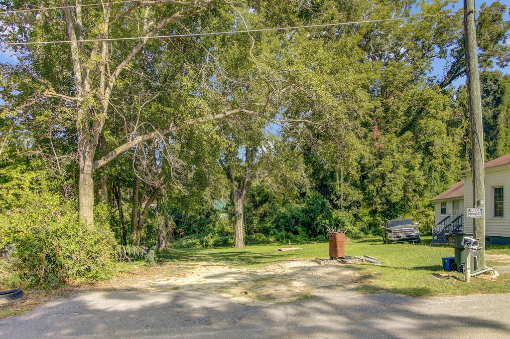 Photo of 475 Scott Street, Orangeburg, SC 29115 (MLS # 25025281)