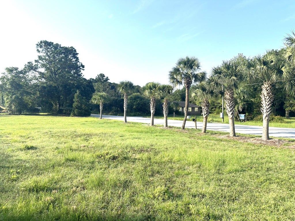 Photo of 1096 Beehive Road, Mount Pleasant, SC 29429 (MLS # 26021884)