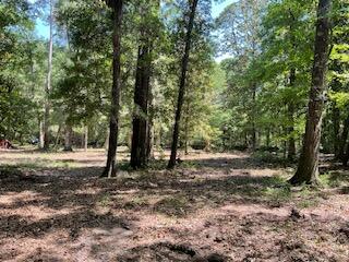 8119 S Loafer Glory Lane