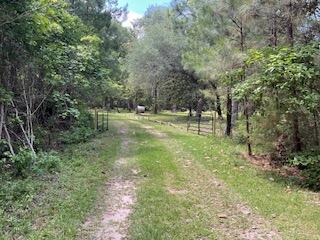 8119 S Loafer Glory Lane