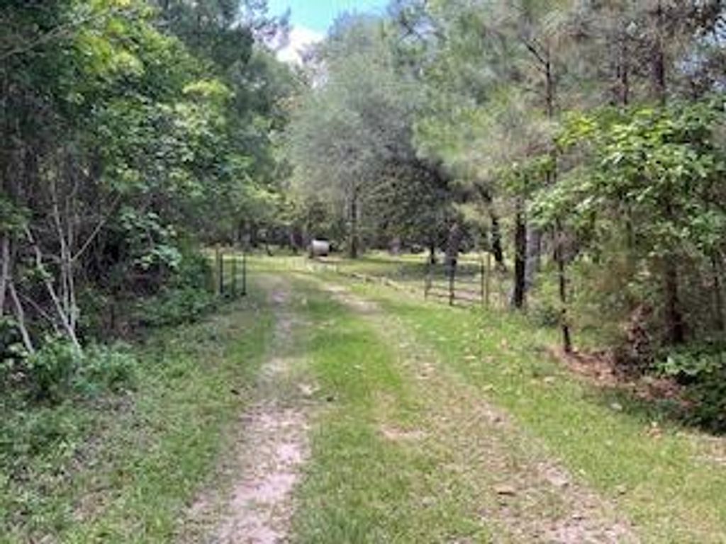 Photo of 8119 S Loafer Glory Lane, Edisto Island, SC 29438 (MLS # 26010258)