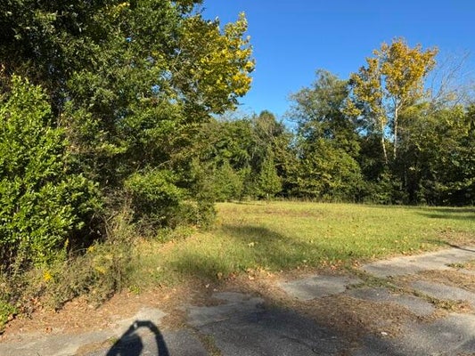 0 CHARLESTON HIGHWAY # 02462004011000, BOWMAN, SC 29018 - Image a0e1fb90e53146c19aae29ba24848fd7/1711832113