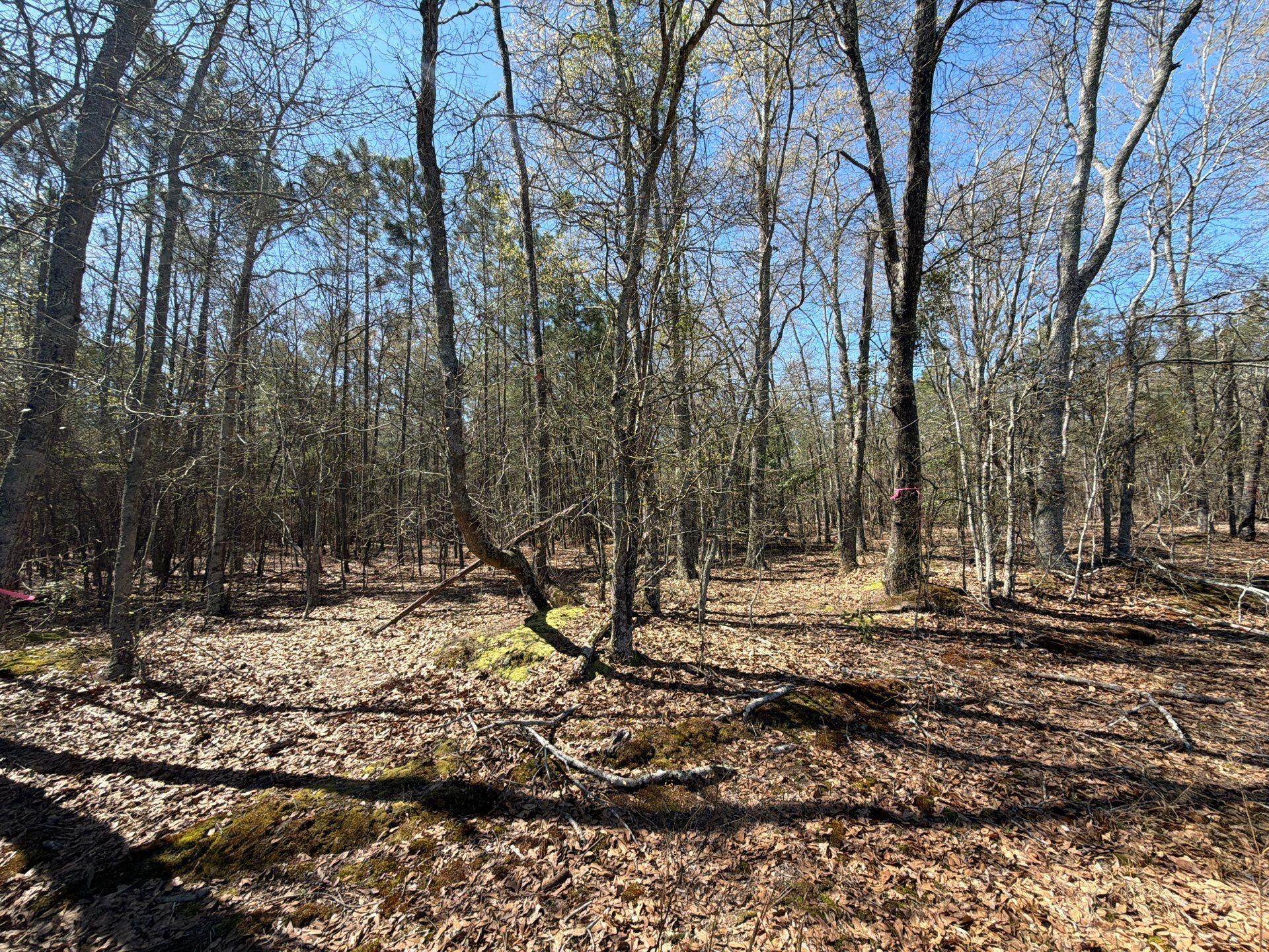 Bhl 12 Boise Cascade Bhl 12