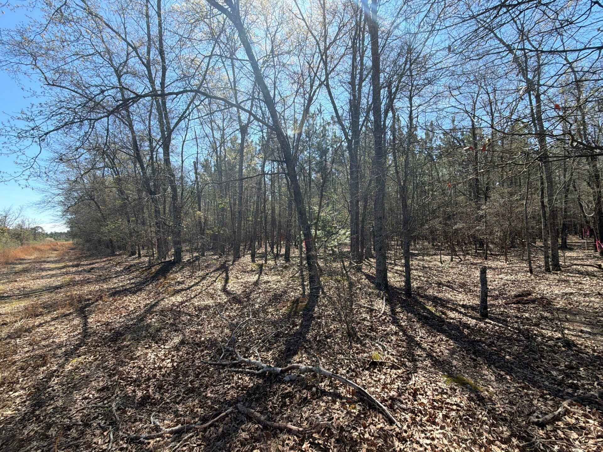 Bhl 12 Boise Cascade Bhl 12