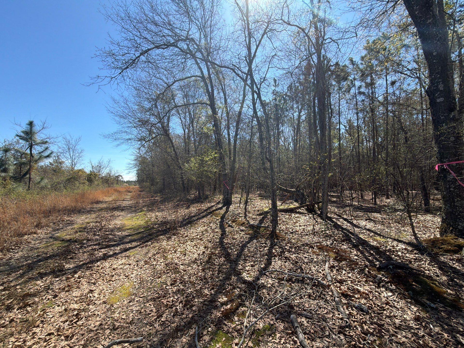 Bhl 12 Boise Cascade Bhl 12