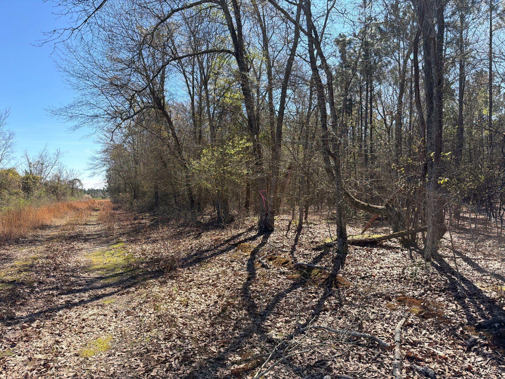 Bhl 12 Boise Cascade Bhl 12