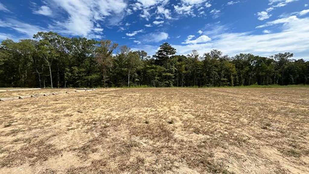 Photo of 450 Tulip Poplar Drive, Moncks Corner, SC 29461 (MLS # 25026649)