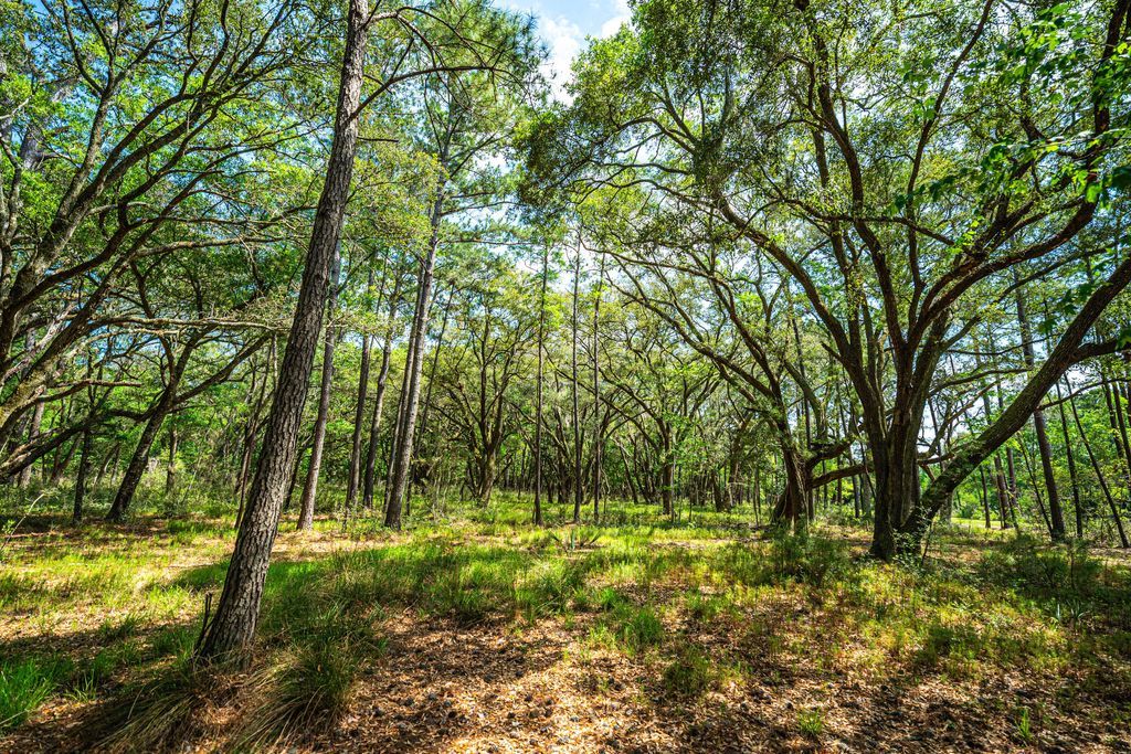 Photo of Lot 5 King Rail Lane, Edisto Island, SC 29438 (MLS # 25013669)