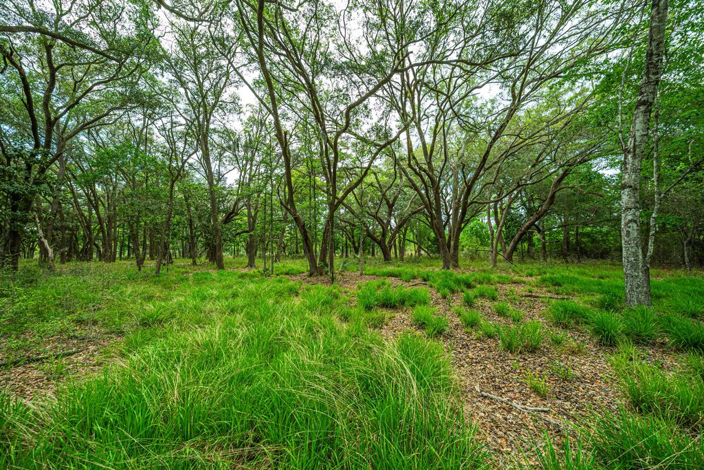 Photo of Lot 5 King Rail Lane, Edisto Island, SC 29438 (MLS # 25013669)