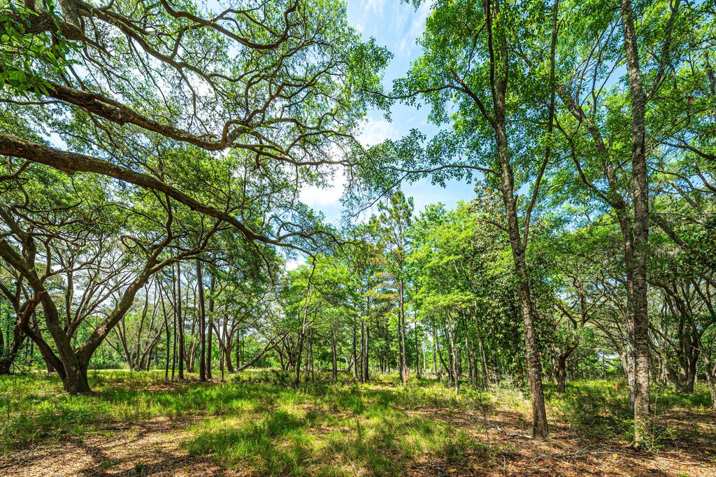 Photo of Lot 5 King Rail Lane, Edisto Island, SC 29438 (MLS # 25013669)